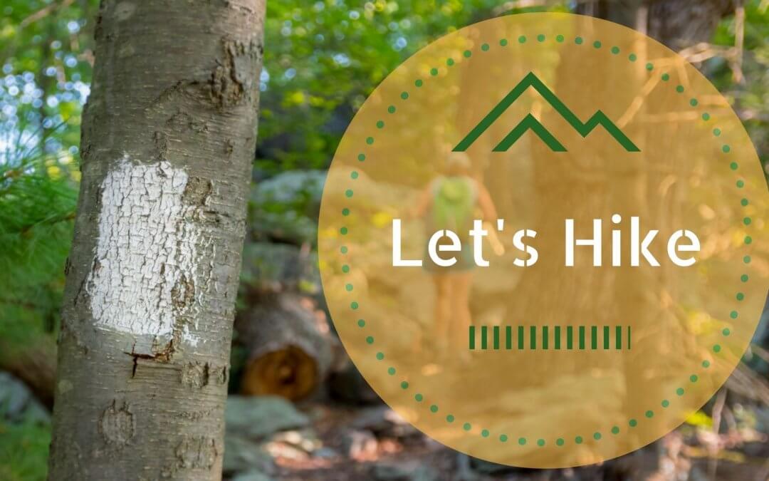 Community Hike: Raven Rocks Hollow Run